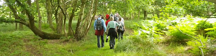 Westwood Marshes and Lodge